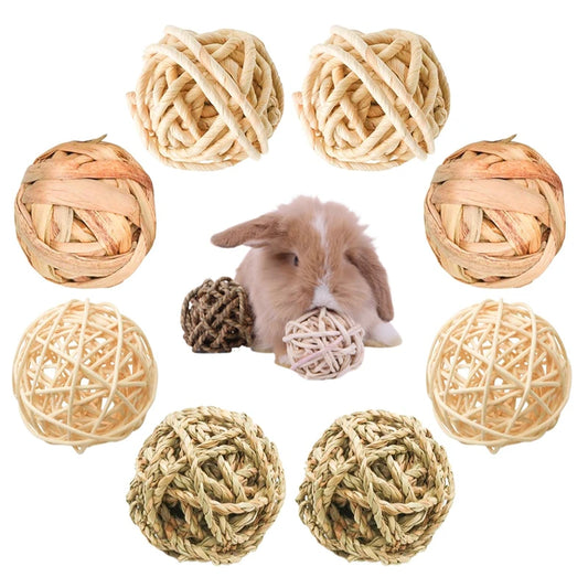 2 Peças de Brinquedos para Roedores